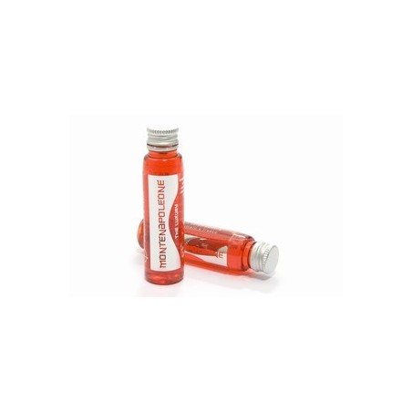 FLACONCINO BAGNO SHAMPOO ROSSO ALL'ARANCIA ML.32 CT.DA 308 PZ.